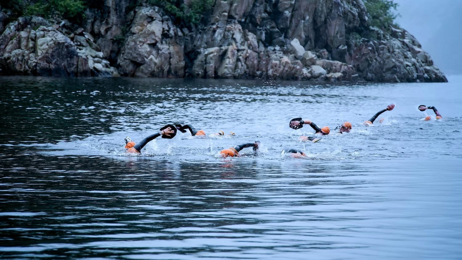swimming 1